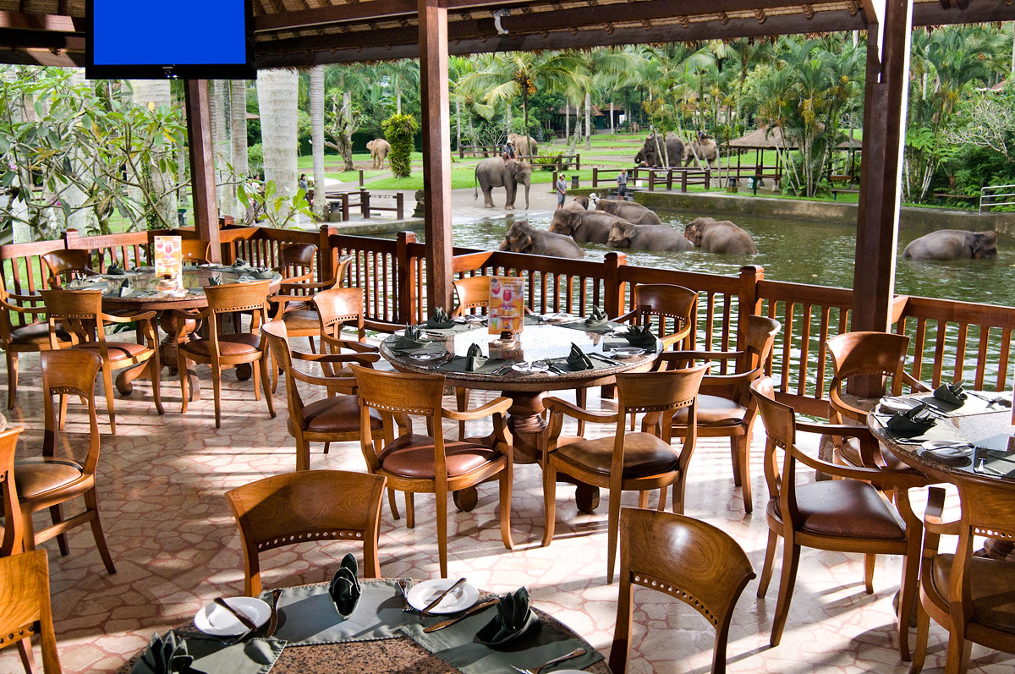 Mason Elephant Lodge Ubud Extérieur photo