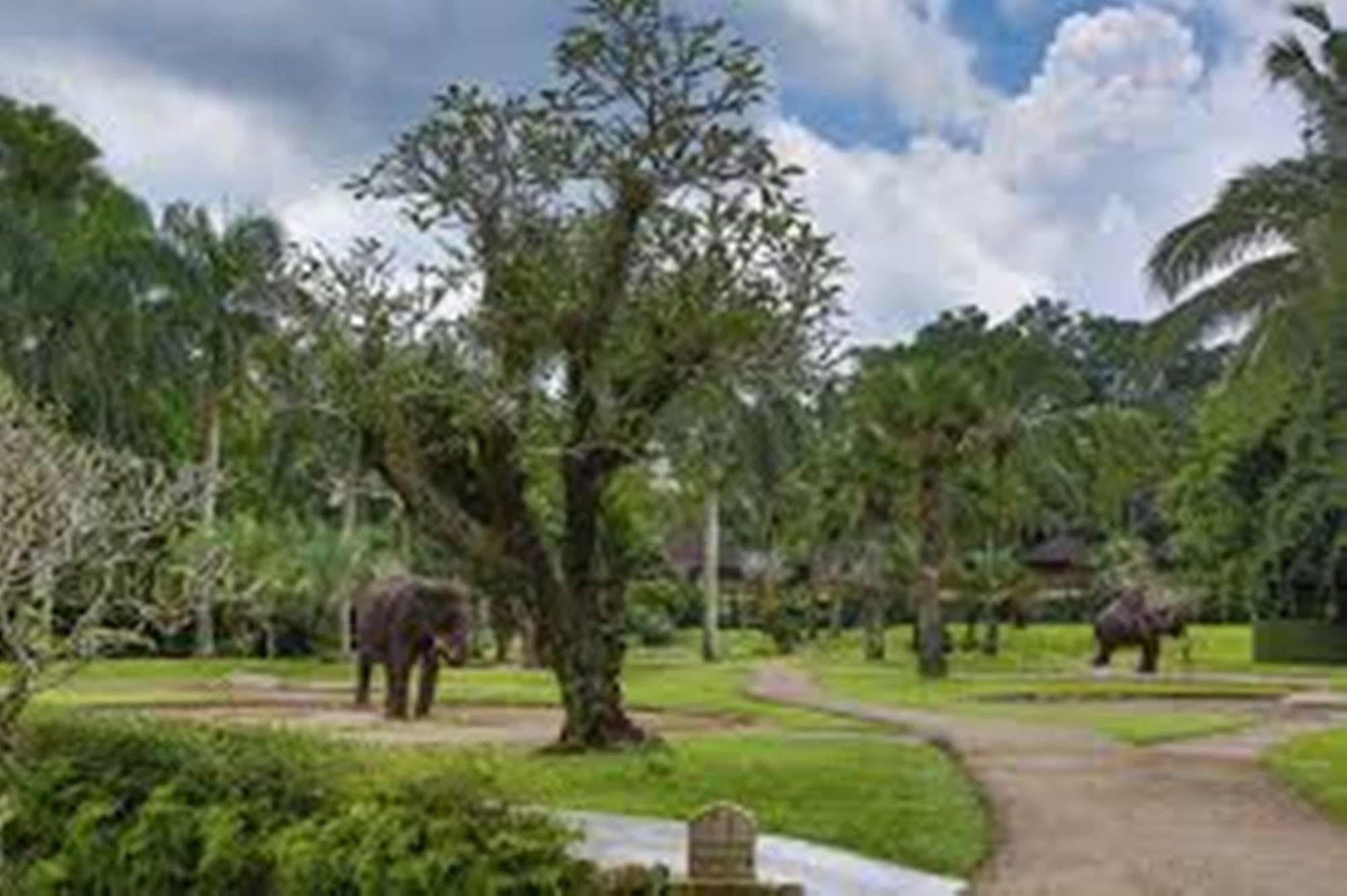 Mason Elephant Lodge Ubud Extérieur photo